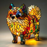 Filou – Câine Stea